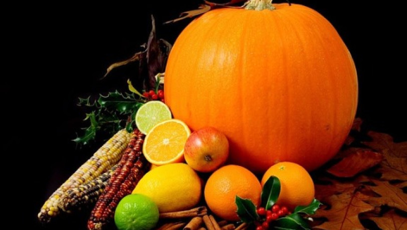 Déjeuners « Oranges déguisées » - Sans allergènes