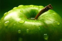 pomme-verte-208x166.jpg