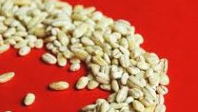 Pilaf d’orge à la tomate