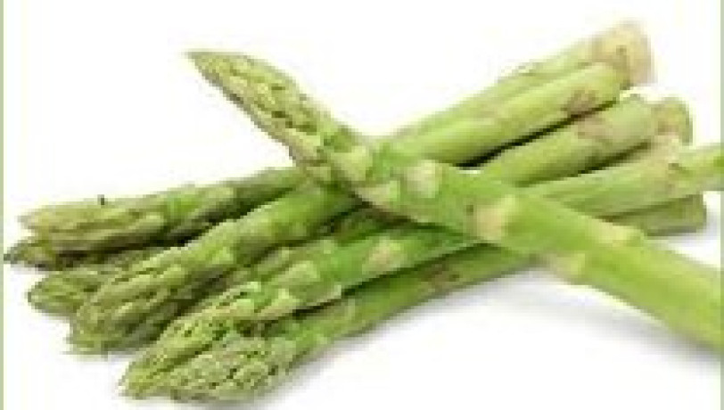 Petite « grillette » verte et surette