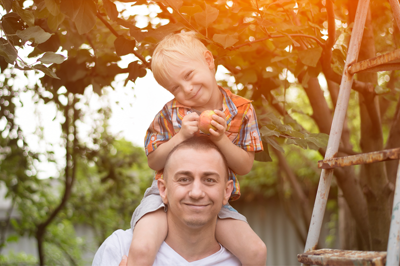 Un père et son fils entre de ceuillir des pommes à l'automne