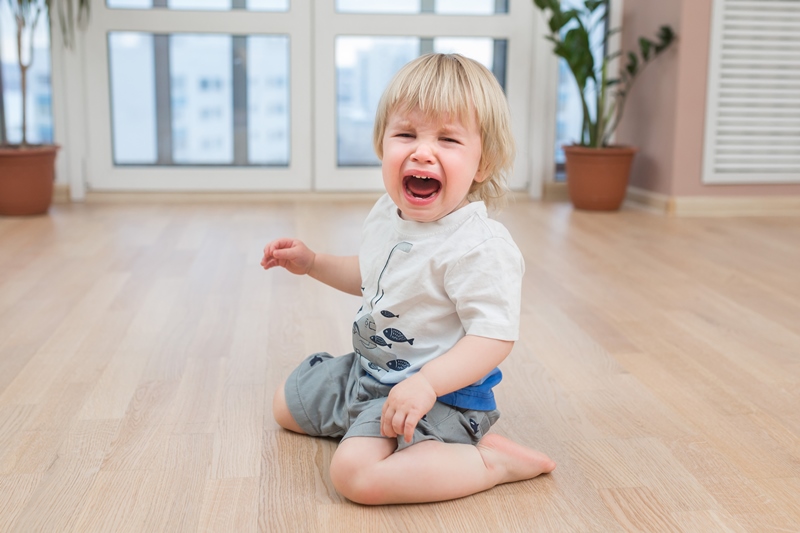 Mon Fils De 3 Ans 1/2 Met Tout Dans Sa Bouche! - Caroline Boutin - Nanny  Secours