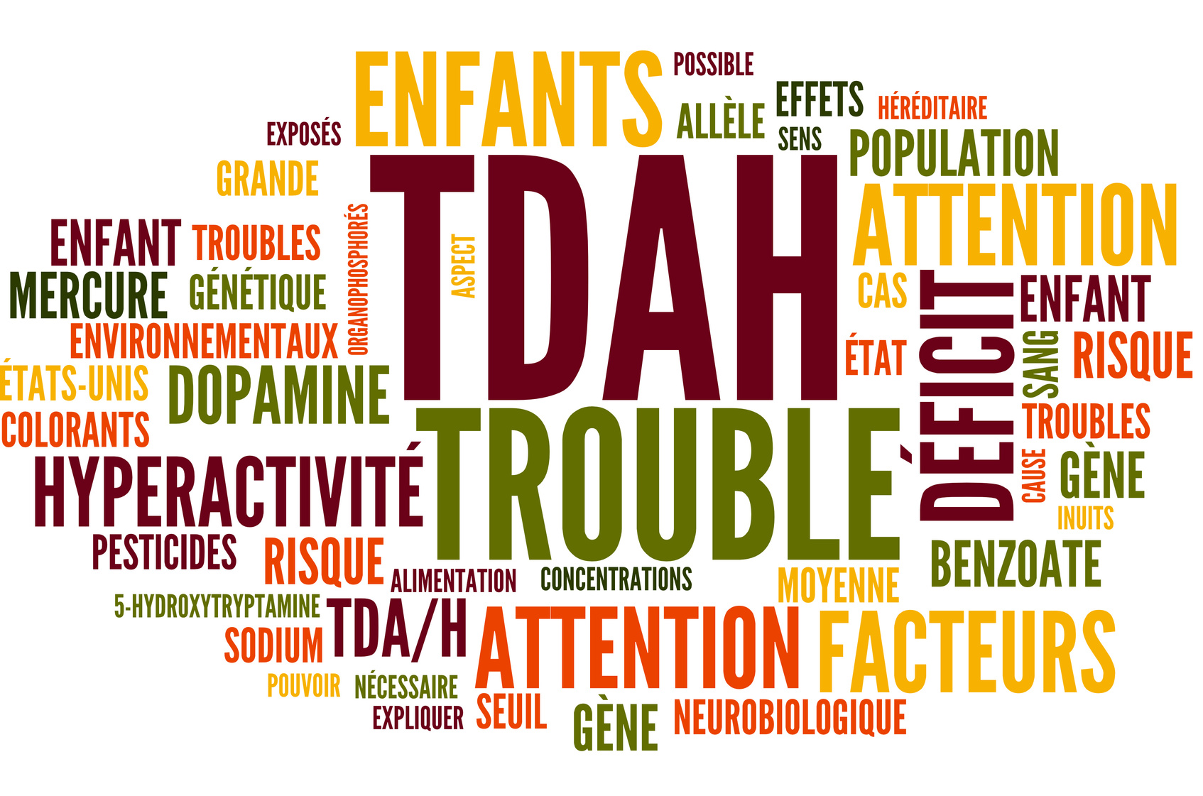 Le trouble déficit de l'attention avec hyperactivité de l'adulte (TDA-H)